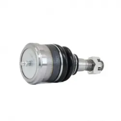 Rotula Inf C10 7378 C15 799