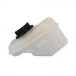 Deposito enfriamiento Ford Focus 0007