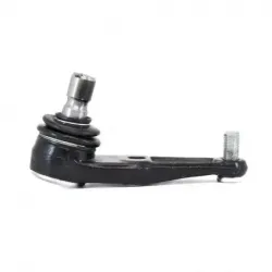 Rotula Inf Escort 9702