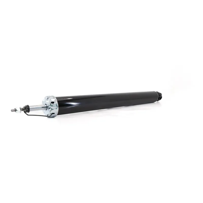 Amortiguador Tras Focus 1217