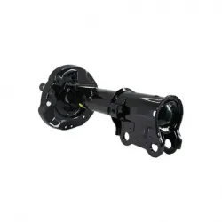 Amort DD seltos 2021