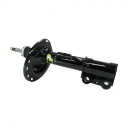 Amort Del Der Sienna 0610