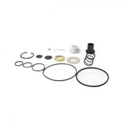 Repuesto para valvula r12y r14 con tapa