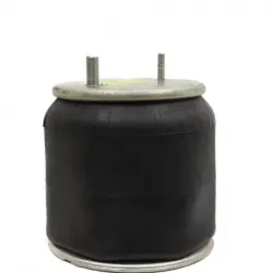 Bolsa de aire susp Hendrickson