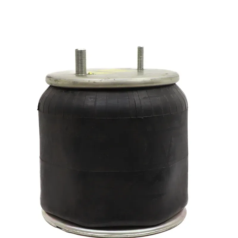 Bolsa de aire susp Hendrickson