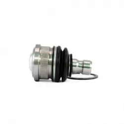 Rotula Inf March 1117 Versa 1218