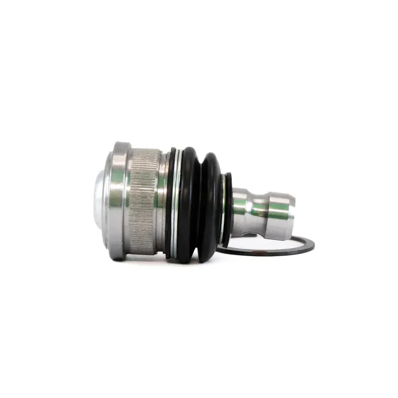 Rotula Inf March 1117 Versa 1218