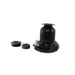 Base Amortiguador Trasero Derecho