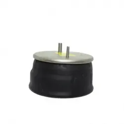 Bolsa de suspensión Hendrickson