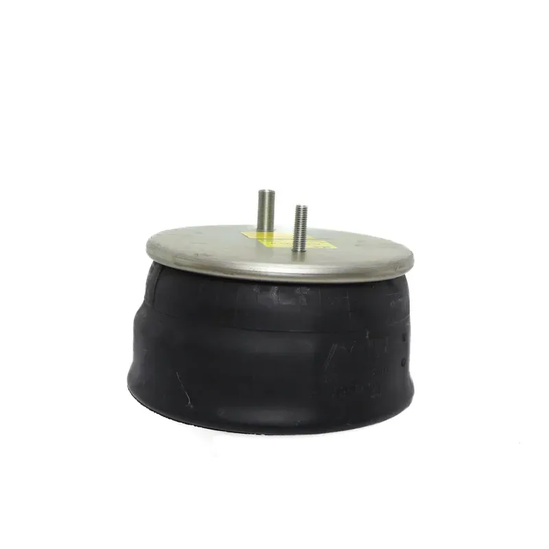 Bolsa de suspensión Hendrickson