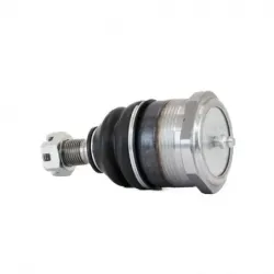 Rotula Sup B100 7078 B150 7904 B20