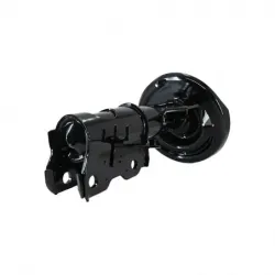 Amort Del Der Safrane 1215