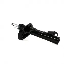 Amort Del Izq C30 0811 Focus 0711