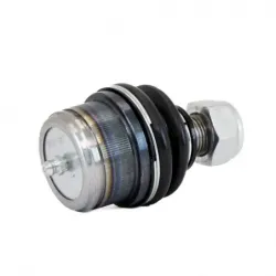 Rotula Inf Blazer 7091 C10 7091