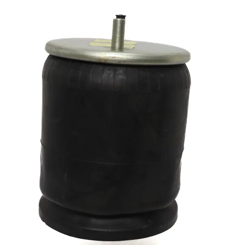 Bolsa aire para suspension neway