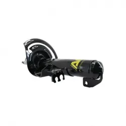 Amort Del Der Vision 1518