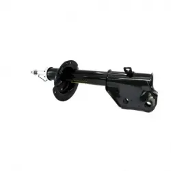 Amort Del Izq Edge 0710 MKX 0710