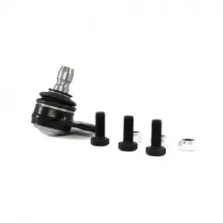 Rotula Inf Corsa 0109 Tornado 0110