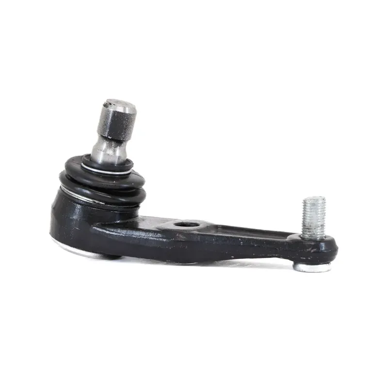 Rotula Inf Escort 9702