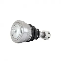 Rotula Inf Mustang 9495