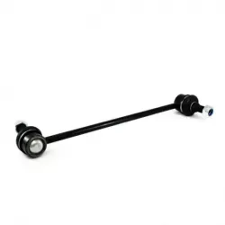 Tornillo Estab Del Sentra 0712