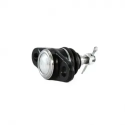 Rotula Inf Attitude 0611 Rio 0611