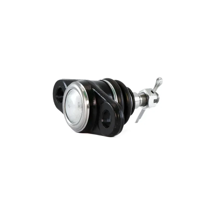 Rotula Inf Attitude 0611 Rio 0611