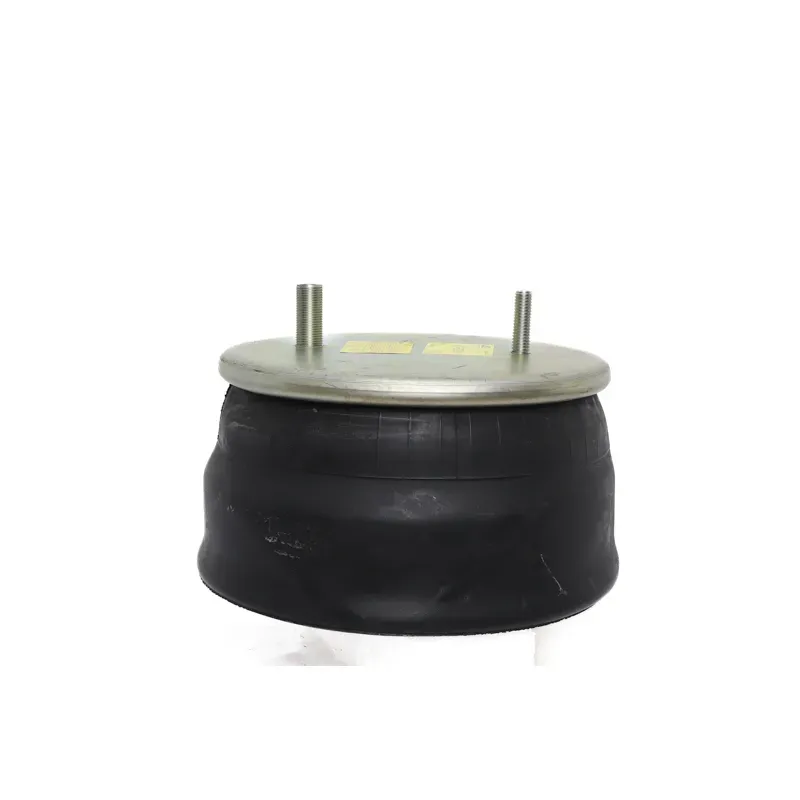 Bolsa de suspensión Hendrickson