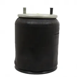 Bolsa de aire hendrickson  1r12395