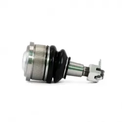 Rotula Inf Odyssey 9904