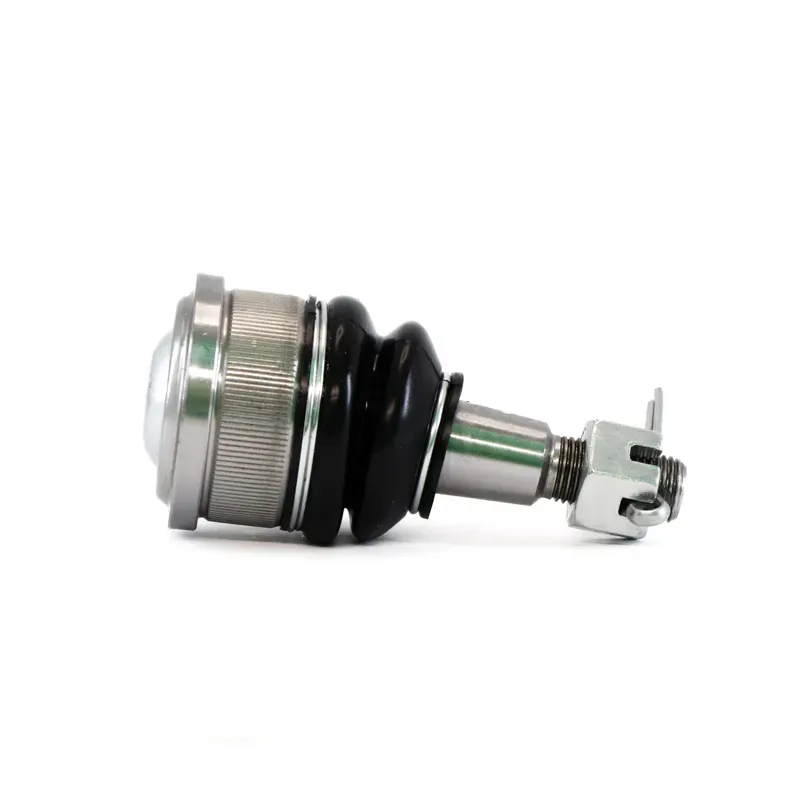 Rotula Inf Odyssey 9904