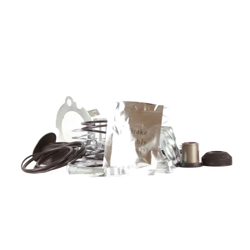 Repuesto mayor para valvula de pie e6