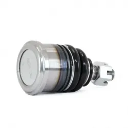 Rotula Inf Accord 9003 Odyssey 9598