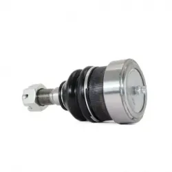 Rotula Inf Aerostar 8697 Cougar 8088