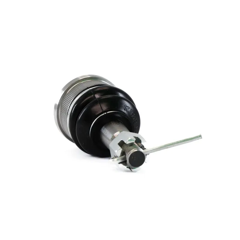 Rotula Inf Odyssey 9904