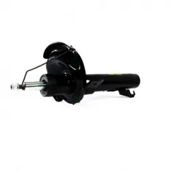 Amort Del Der C30 0811 Focus 0711