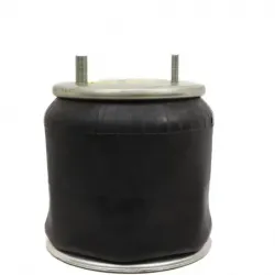 Bolsa de aire susp Hendrickson