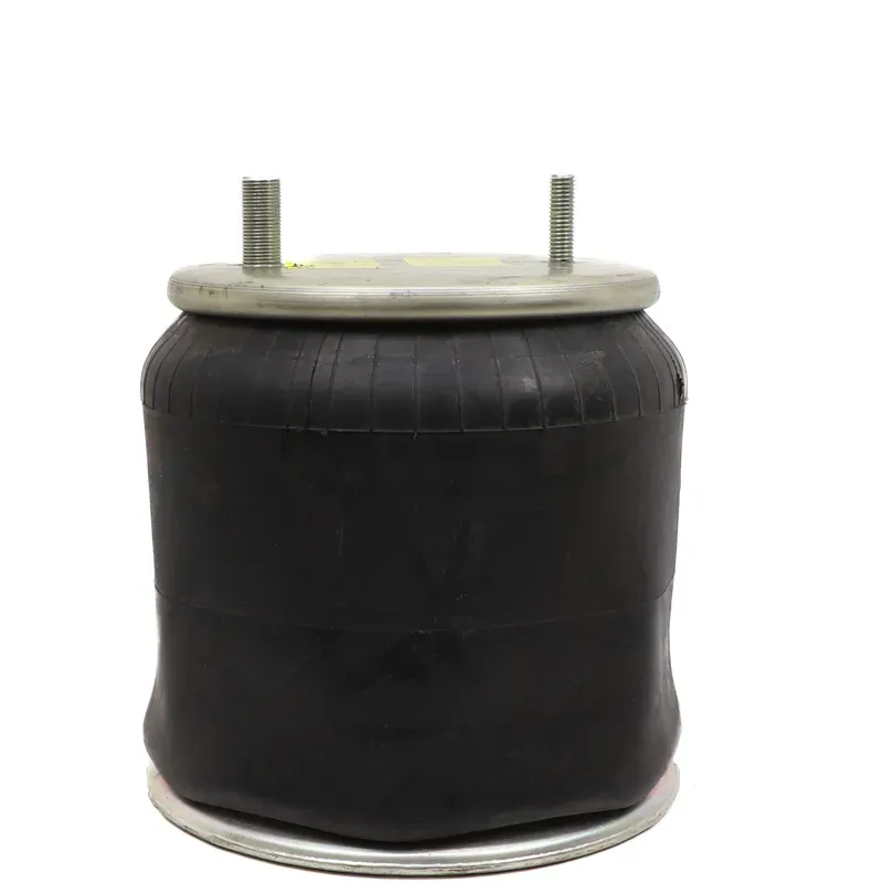 Bolsa de aire susp Hendrickson