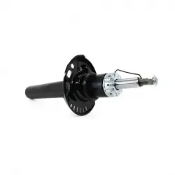 Amortiguador del para borajetta