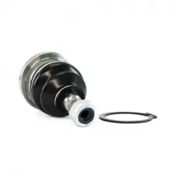 Rotula Sup Accord 9812 CRV 9701