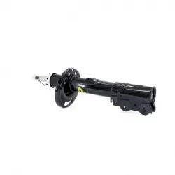 Amortiguador Del Izq Ecosport 1317