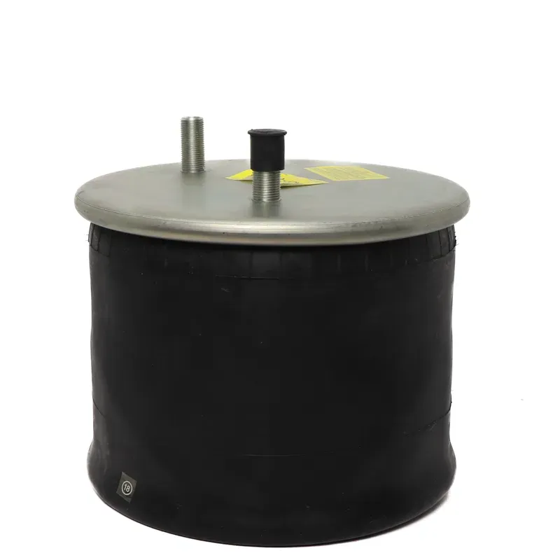 Bolsa de aire para suspension