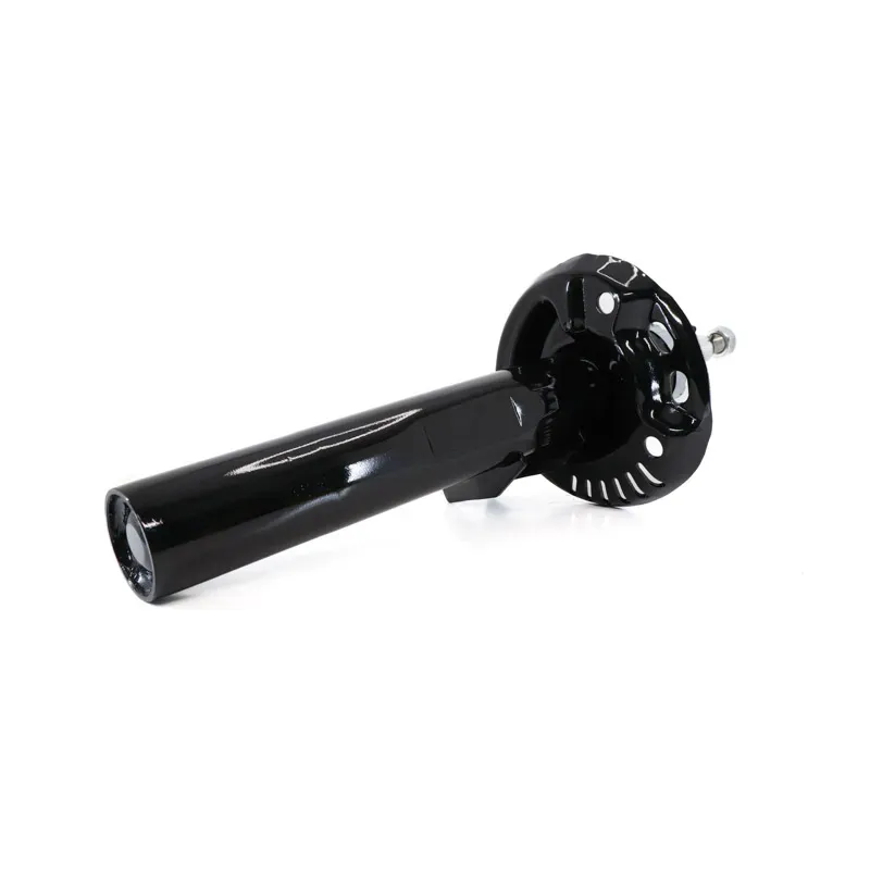 Amortiguador del para borajetta