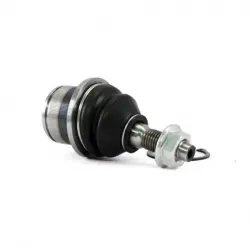 Rotula Inf Expedition 0717 Expedition