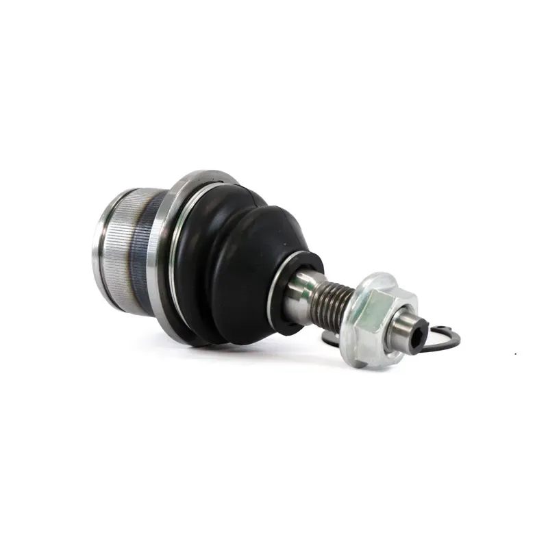 Rotula Inf Expedition 0717 Expedition