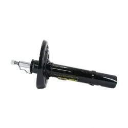 Amort DD Honda civic CTope 1619