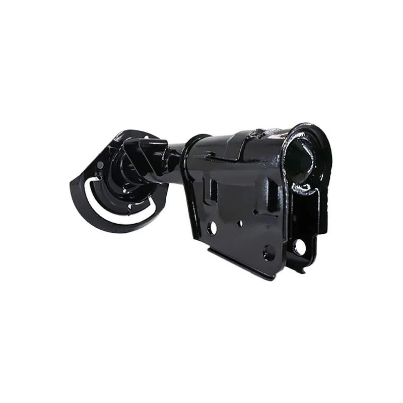 Amort DD Chrysler Pacifica 1618