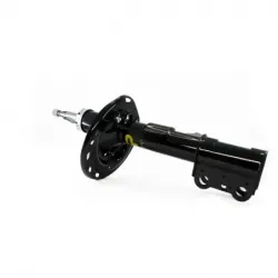 Amort Del Izq Sienna 0610