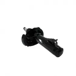 Amort Del Izq C30 0811 Focus 0711