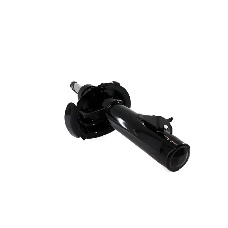 Amort Del Izq C30 0811 Focus 0711